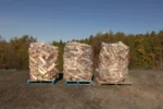 One Cord Green Maple Firewood