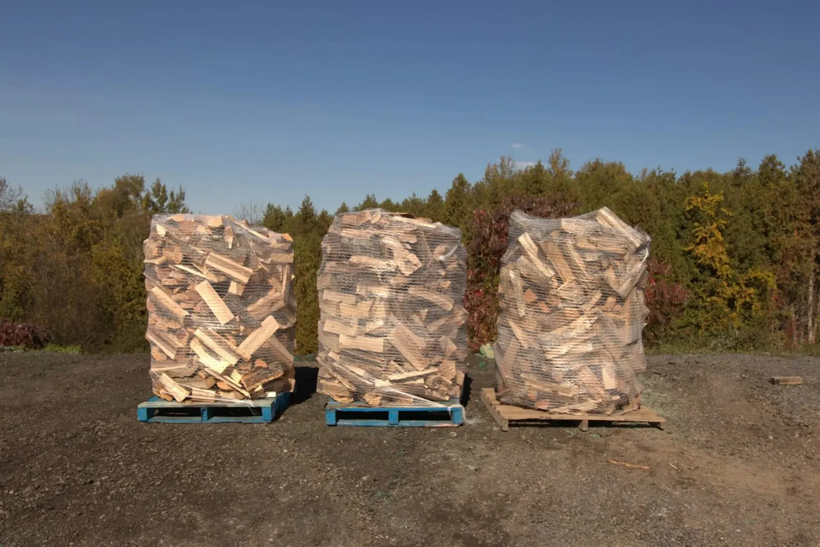 One Cord Green Maple Firewood