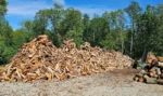 Bulk Green Three Cords Firewood