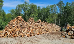 Bulk Green Three Cords Firewood